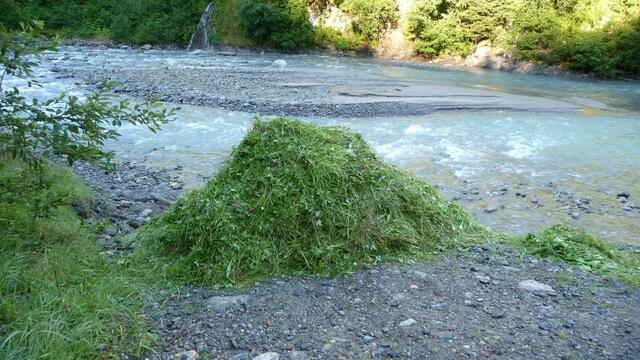 Wem fällt sowas ein? | Foto: Tiroler Bergwacht - Einsatzstelle Stubai