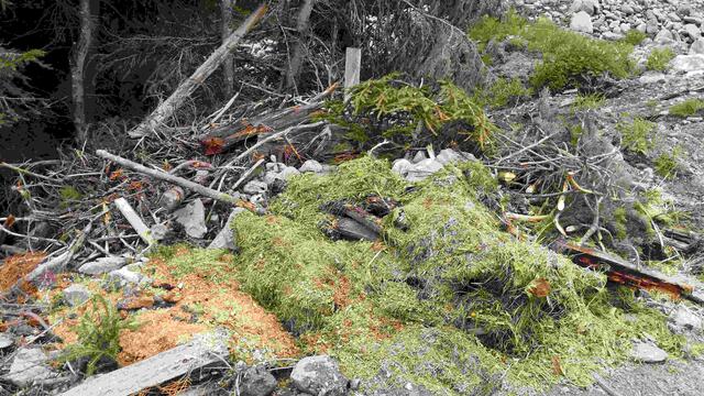 illegale Ablagerungen verschandeln die Natur | Foto: Tiroler Bergwacht - Einsatzstelle Stubai