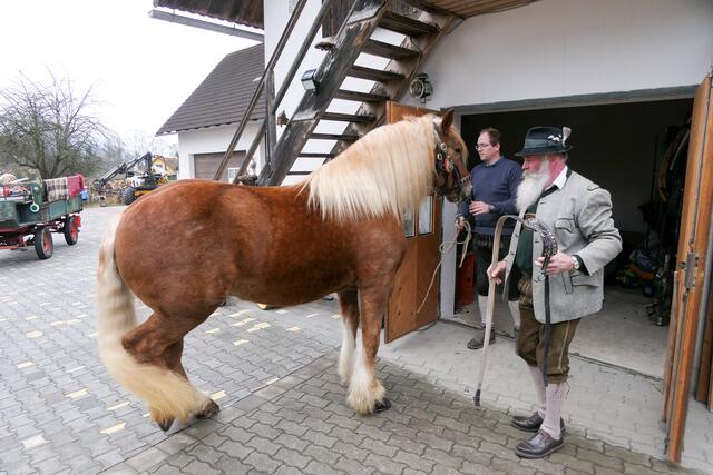 Foto: Andreas Pesendorfer