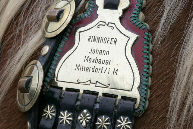 Schon bei sehr vielen Veranstaltungen und Bewerbe teilgenommen. | Foto: Andreas Pesendorfer