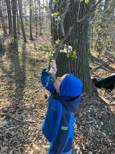 Foto: Stefanie Heilig