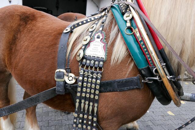 Foto: Andreas Pesendorfer