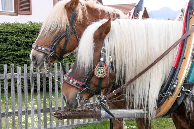 Foto: Andreas Pesendorfer