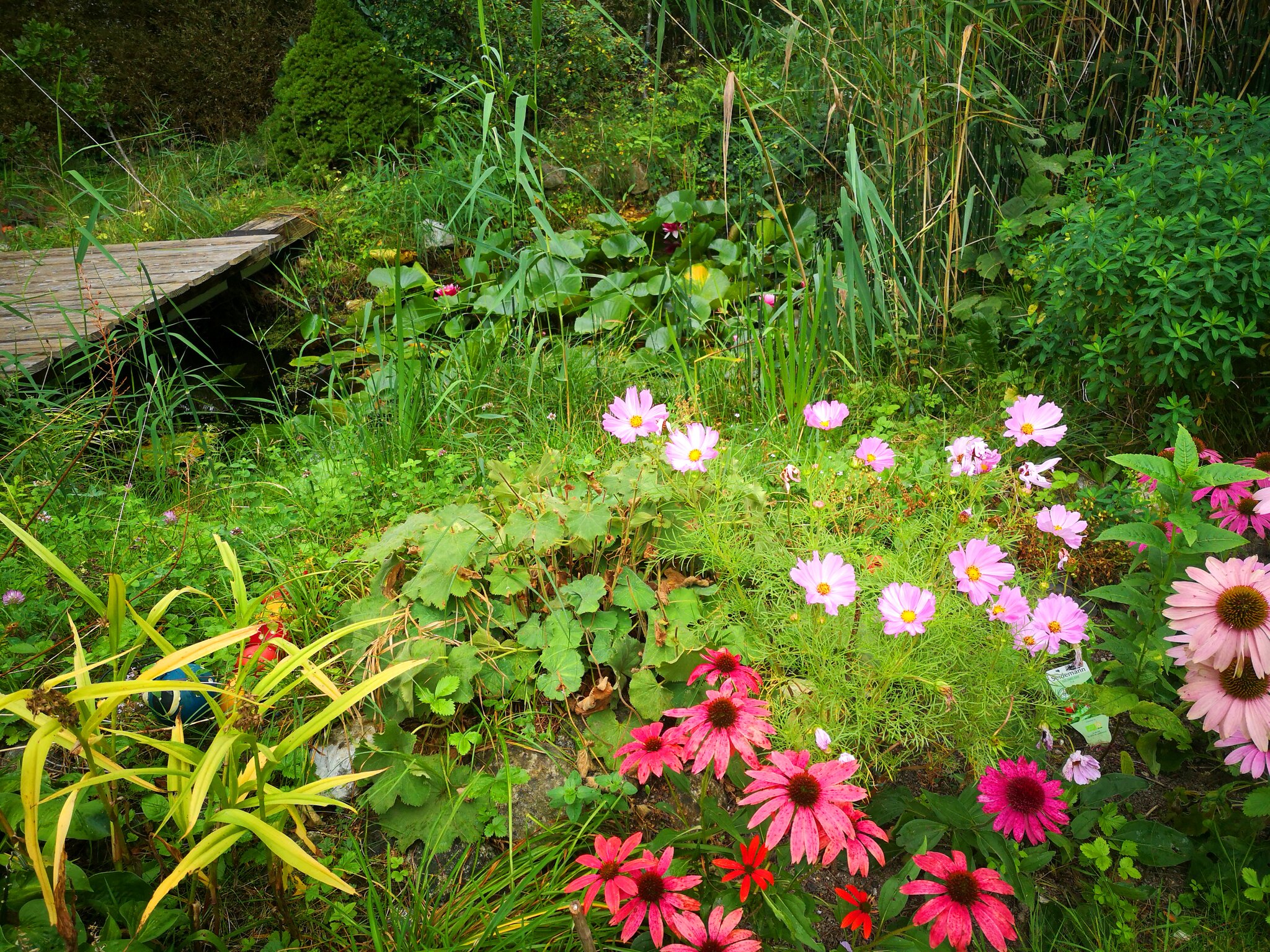 Ein Garten für die Artenvielfalt Fachvortrag „Naturnahes Gärtnern" im