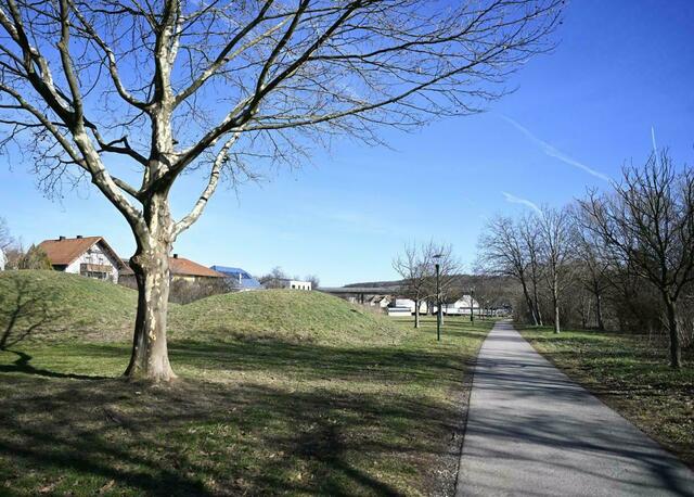 Auf diesem Gebiet in Walbersdorf verloren die Betreuerinnen den Buben aus den Augen. Die Ermittlungen wurden nun allerdings eingestellt. | Foto: APA/Robert Jaeger