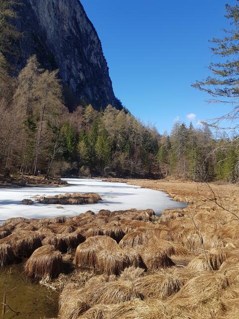 der alte See