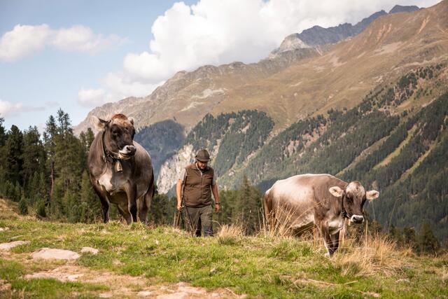 Nassereinalm, Hirte Matthias. | Foto: ORF/Papke Film/SEVERIN WEGENER