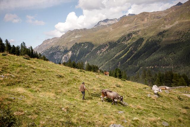 Nassereinalm, Hirte Matthias. | Foto: ORF/Papke Film/SEVERIN WEGENER