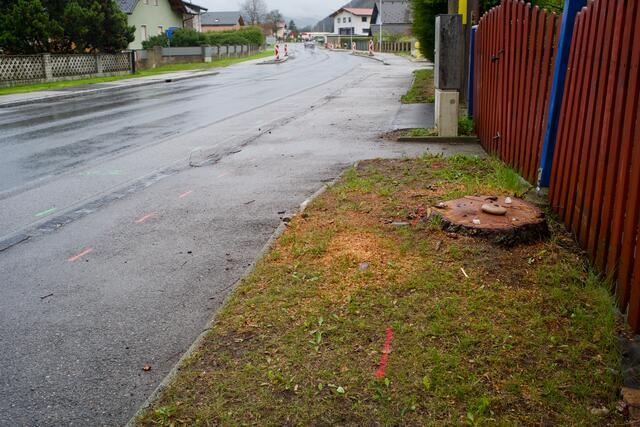 Hier, auf einem knapp bemessenen Grünstreifen vor Seichters Zuhause, stand ein Baum. Leider wurde die Lärche bereits gefällt. | Foto: Santrucek