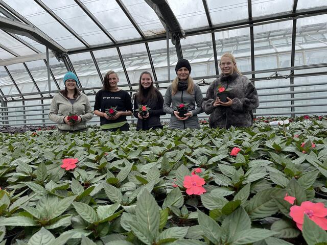 Die Mädels der Gärtnerei können definitiv anpacken! 
Stefanie Huetz, Milena Trojer, (ich) Ramona Prinoth und Isabella Horvat | Foto: Lisa Kropiunig