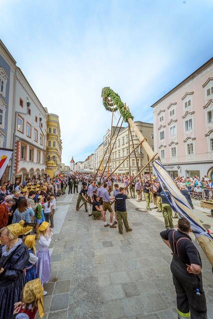 Nur mit Muskelkraft soll der Maibaum wieder am Stadtplatz Wels aufgestellt werden. | Foto: Wels Marketing &amp; Touristik GmbH