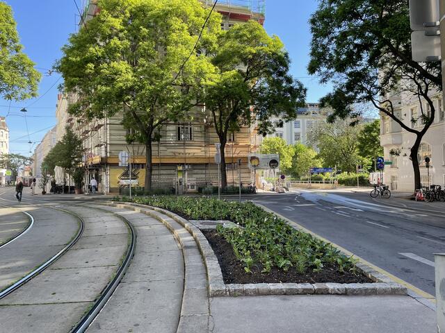 Auch die Wünsche zum Josef-Matthias-Hauer Platz können schon bald eingebracht werden.  | Foto: Julia Schmidt