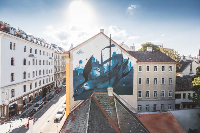 In der Burggasse am Neubau schweben diese drei Mauersegler über die Dächer. Auch in der Josefstadt soll dank dem Mitmach-Budget bald etwas für die Stadtvögel getan werden.  | Foto: Jolly Schwarz