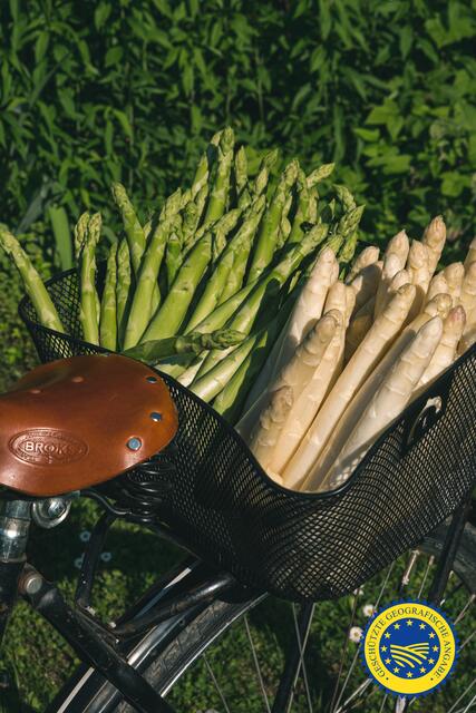 Foto: Verein Marchfeldspargel g.g.A.