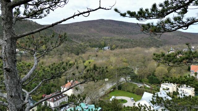 Auf der Ziehrerhöhe - Tiefblick - in der Bildmitte ist die zuvor besuchte Eugenvilla zu sehen.

 | Foto: Walter Fuchs