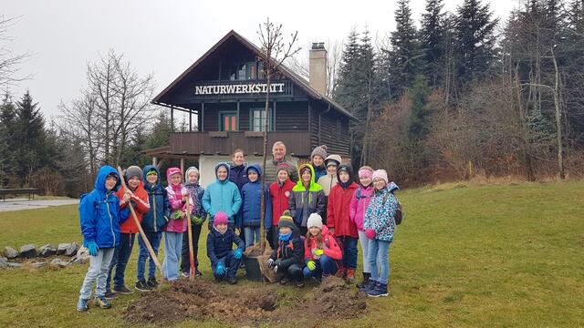 Die Kinder der 3. &amp; 4. Klasse VS Maria Laach mit Maria Vogl (Naturpark Jauerling-Wachau), Bürgermeister Edmund Binder und der Klassenlehrerin Ursula Steininger beim pflanzen des Klimabaumes.  | Foto: NPJW 