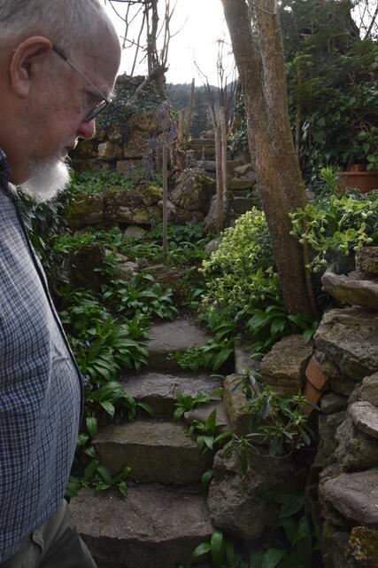 Der Insektenforscher Hubert Rausch in seinem naturnahen Garten in Scheibbs | Foto: Roland Mayr