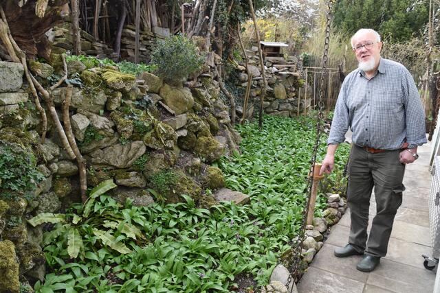 Der Insektenforscher Hubert Rausch in seinem naturnahen Garten in Scheibbs | Foto: Roland Mayr