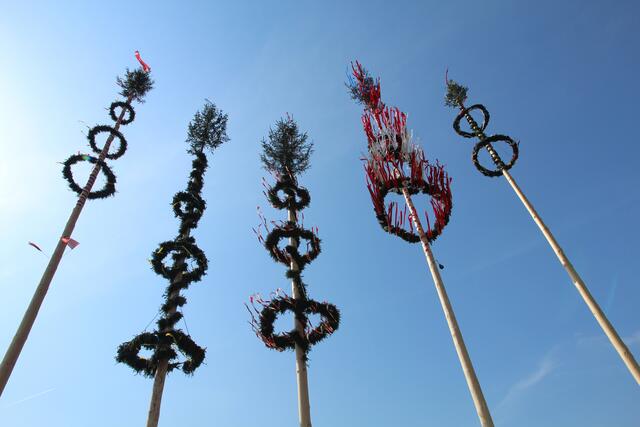 Fünf Maibäume zierten im Jahr 2018 die Landschaft in Steinbruch. | Foto: Pernsteiner