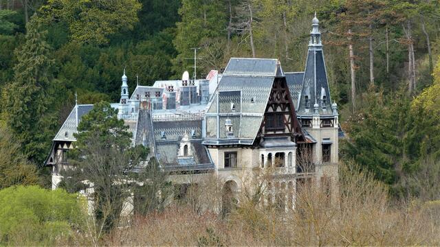 Auf der Ziehrerhöhe - ZooOOM 🧐 die Eugenvilla vergrößert.

 | Foto: Walter Fuchs