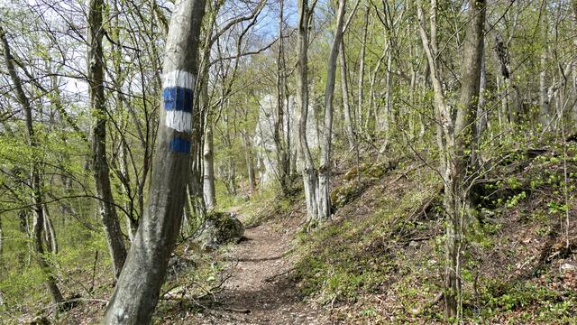 Station 12 - Die Badener Kletterschule - die Felsen sind schon zu sehen

 | Foto: Walter Fuchs