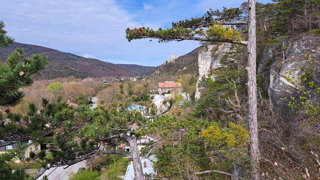 Auf der Ziehrerhöhe - Blick Richtung Helenental und Burgruine Rauhenstein

 | Foto: Walter Fuchs