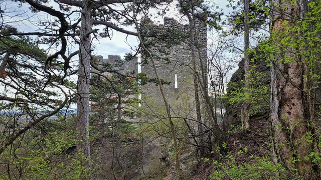 Station 9 – Die Burgruine Rauhenstein - Die Türme von weiter oben gesehen ...

 | Foto: Walter Fuchs