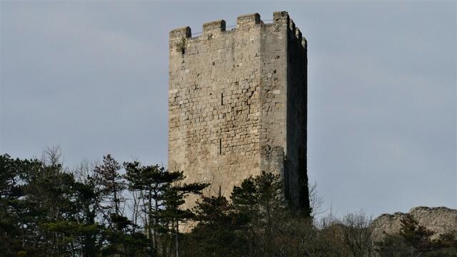 Auf der Ziehrerhöhe - der dreieckige Bergfried von der Burgruine Rauheneck gezooOOMT 🧐

 | Foto: Walter Fuchs