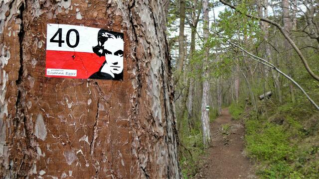 Ludwig van is watching you - weiter am Rainerweg ...

 | Foto: Walter Fuchs