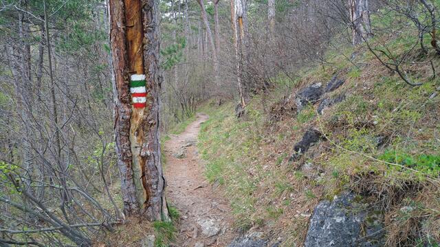 Der Weg ist durchgehend markiert ...

 | Foto: Walter Fuchs