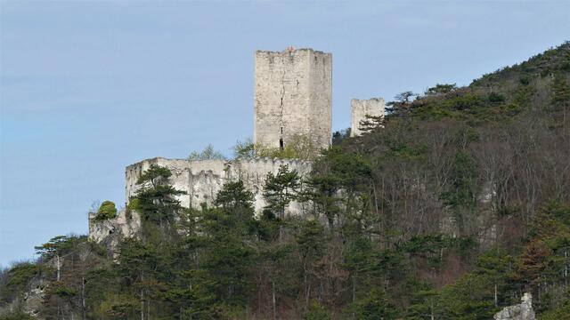 Auf der Ziehrerhöhe - Ein bedenklicher Riss im Turm der Burgruine ist hier bei der Vergrößerung zu sehen ...

 | Foto: Walter Fuchs