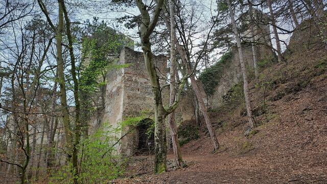 Station 9 – Die Burgruine Rauhenstein

 | Foto: Walter Fuchs