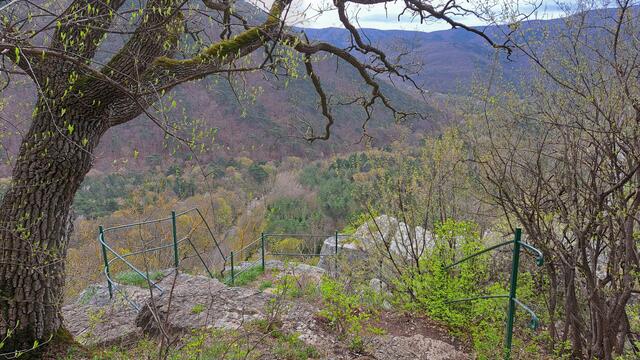 Station 13 – Die Helenentalaussicht am Schwarzberg ...

 | Foto: Walter Fuchs
