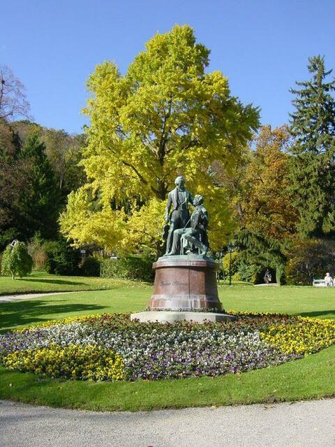 Ginkgo-Baum im Kurpark Baden | Foto: Stadtgartenamt Baden