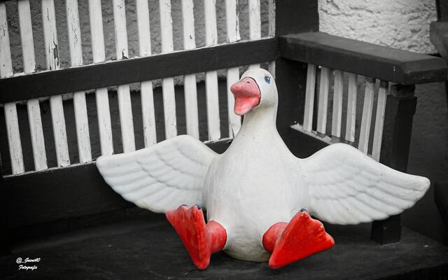.....es wird der Frühling uns bald wieder erfreuen :))

