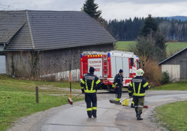 Foto: FF Rauchenödt