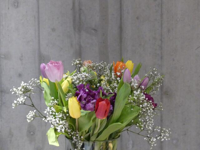 Frühlingsball der ÖVP in Böheimkirchen | 15.04.2023 | Foto: Nina Taurok