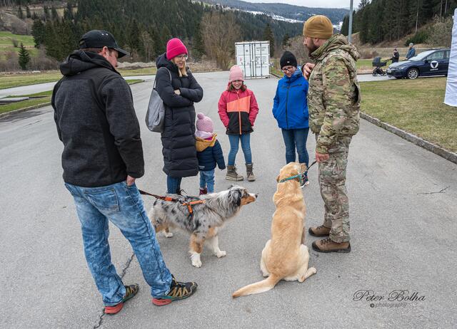 Foto: Peter Bolha