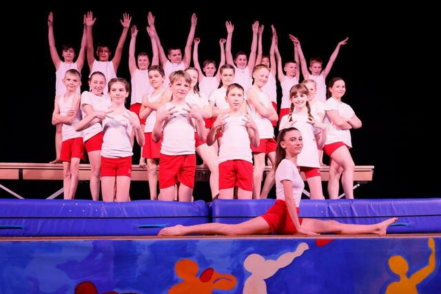 Die Schüler stellten ihr Können eindrucksvoll unter Beweis. | Foto: Sportmittelschule Schärding