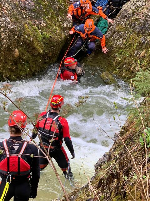 Am Sonntagnachmittag gerieten eine 32-jährige Wanderin und ihr Hund in der Glasenbacherklamm in eine Notsituation. | Foto: Bergrettung Salzburg