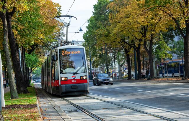 Laut Wiener Linien fährt die Bim-Linie 2 derzeit nicht zwischen Josefstädter Straße und Ring, Volkstheater.  | Foto: Manfred Helmer/Wiener Linien