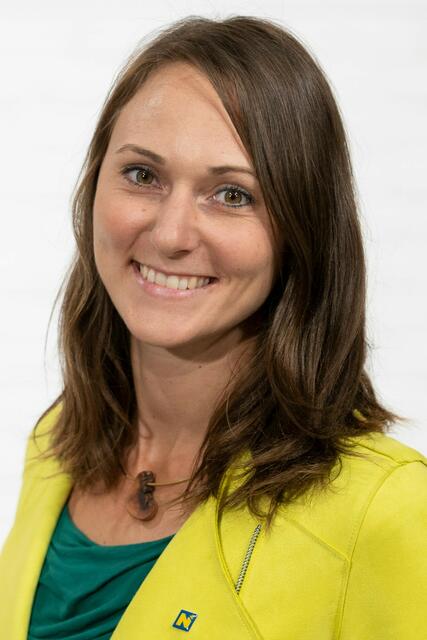 Aufforstung verändert Region So sieht unser Wald in 100 Jahren aus