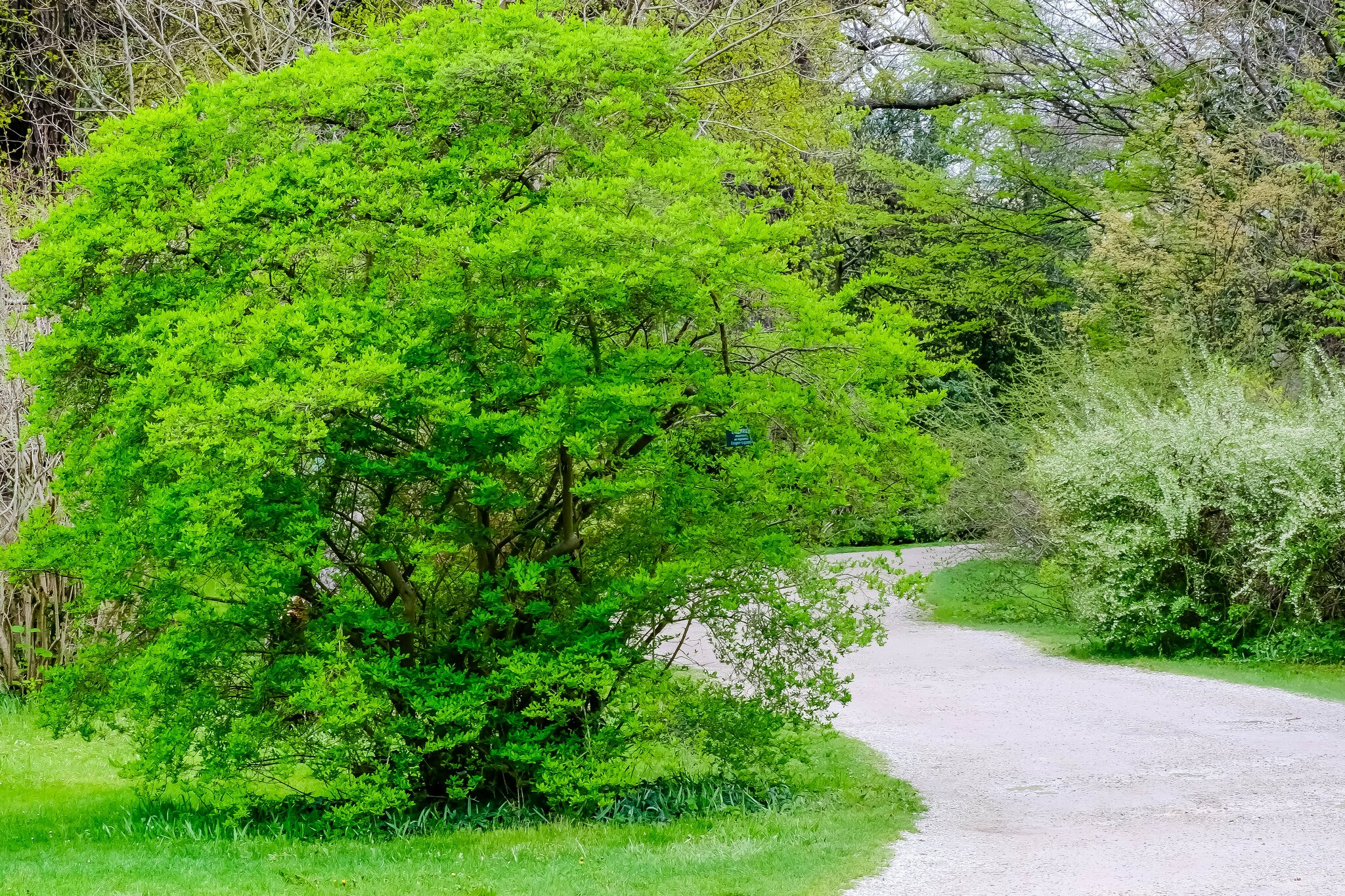 Am-Tag-als-der-Regen-kam-