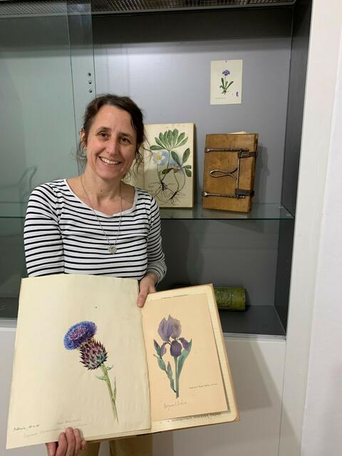 Museumsdirektorin Susanne Stökl beim Einräumen der Vitrinen. | Foto: Krahuletz-Museum