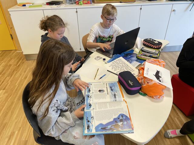 Foto: Alexander Paulus