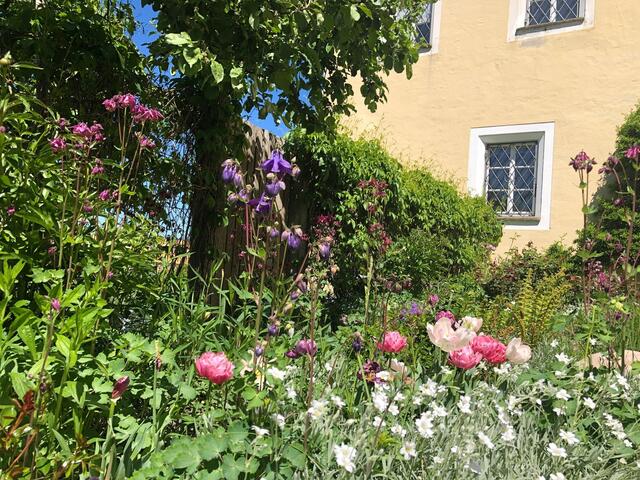 Mit einem bunten Garten, der ein blühendes Angebot das ganze Jahr über bietet, lockt man viele Insekten herbei.  | Foto: sm