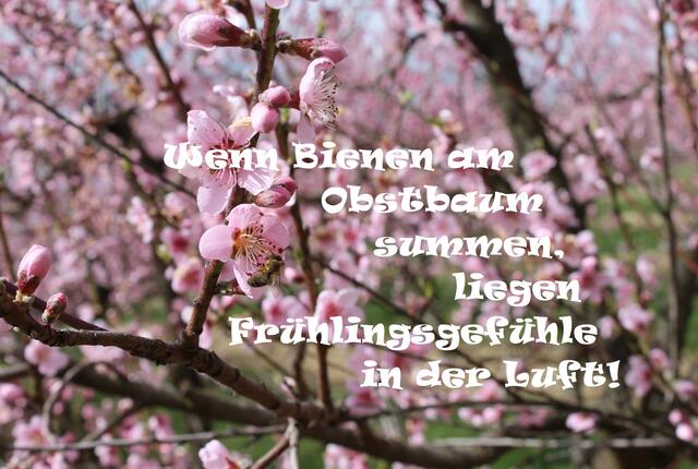 Frühlingsgefühle, Liebe, Hormone, Verliebte