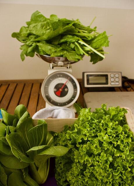 Damit die FoodCoop richtig funktionieren kann, werden neue Mitglieder und Räumlichkeiten für Lager und Verkauf gesucht. | Foto: Foodcoop Neubau