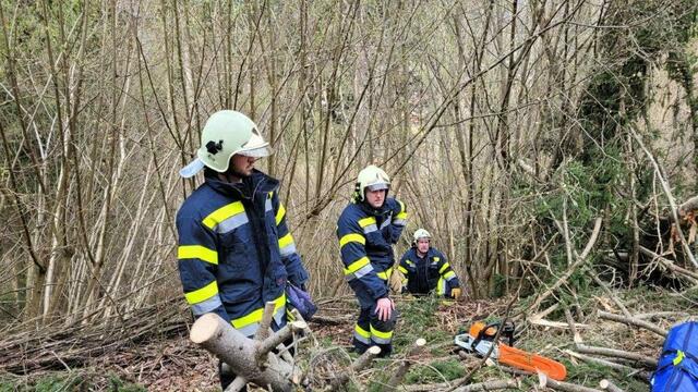 Foto: Freiwillige Feuerwehr Kapfenberg-Stadt/Theny