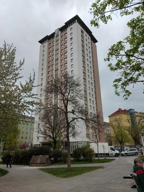 Da sich die Grünfläche gegenüber des Hochhauses in der Leopold-Rister-Gasse befindet, wird die Anlage auch Hochhauspark genannt. | Foto: Patricia Kornfeld